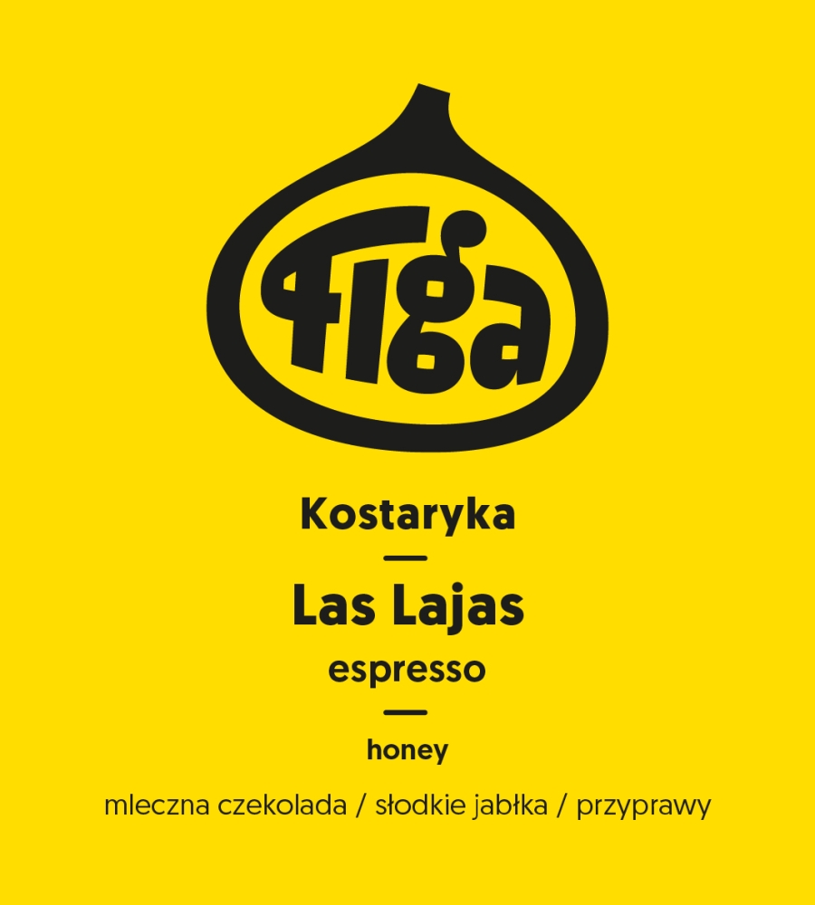 Kostaryka Las Lajas P.jpeg