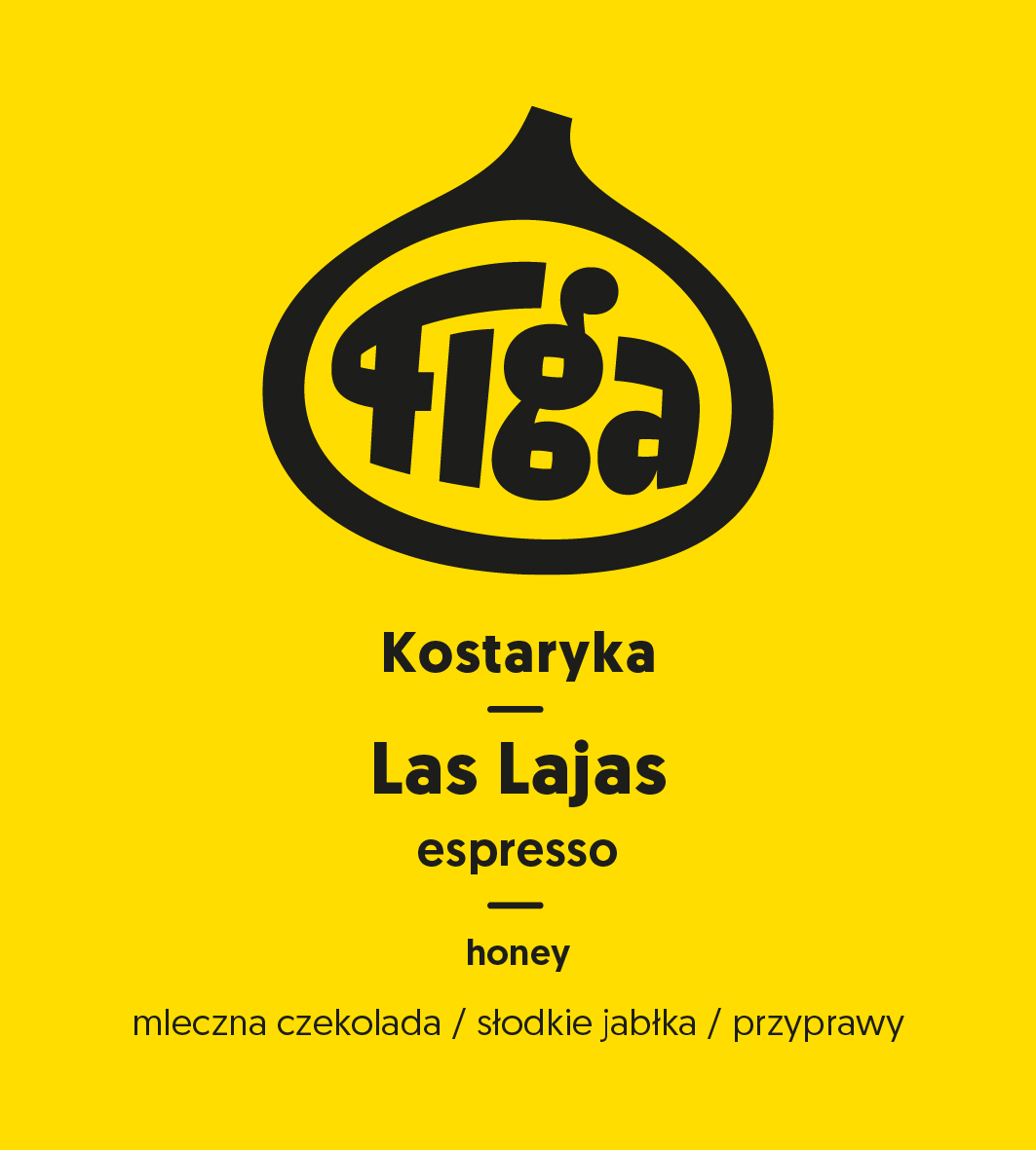 Kostaryka Las Lajas P.jpeg